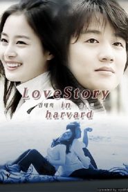 Chuyện Tình Harvard